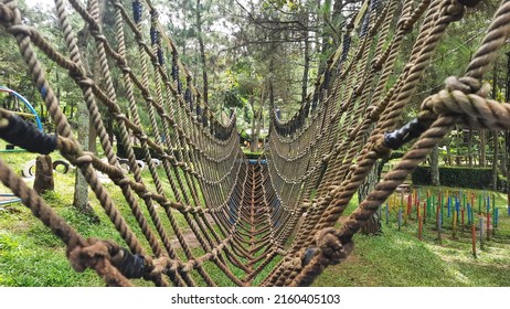net bridge for outbound activities