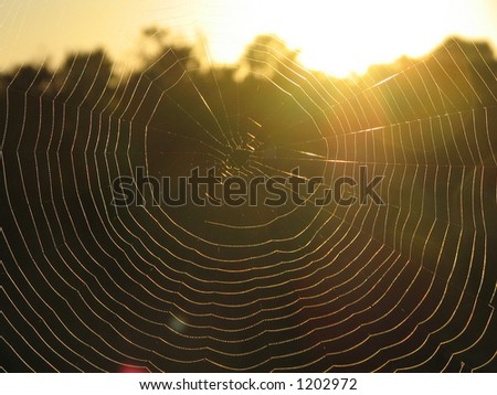 morning mood Sunrise