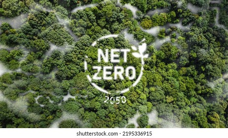 Net Zero 2050 Carbon Neutral and Net Zero Concept natural environment A climate-neutral long-term strategy greenhouse gas emissions targets A cloud of mist in the green Net Zero figure. - Shutterstock ID 2195336915