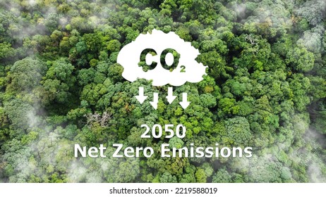 Net zero by 2050. Carbon neutral  on Top view of nature.. Net zero greenhouse gas emissions target. Climate neutral long term strategy. No toxic gases.  - Shutterstock ID 2219588019