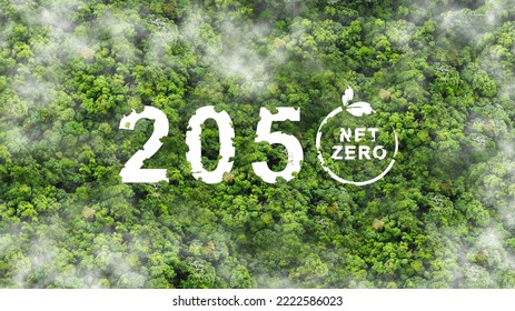 Net zero by 2050. Carbon neutral  on Top view of nature.. Net zero greenhouse gas emissions target. Climate neutral long term strategy. No toxic gases.  - Shutterstock ID 2222586023