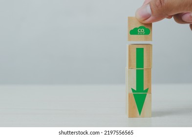 Net Zero And Carbon Credit With Hand Holding Wood Cube Block Icon Co2 Eco And Arrow On Background.