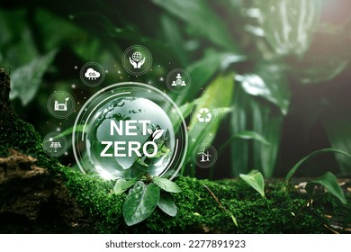Net zero and carbon neutral concept.Globe Glass with Net zero icons In Green Forest With Sunlight. net zero greenhouse gas emissions target Climate neutral long term strategy on a green background. - Shutterstock ID 2277891923