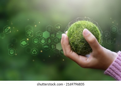 Net Zero and Carbon Neutral Concepts Net Zero Emissions Goals Weather neutral long-term strategy. - Shutterstock ID 2169796835