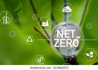 Net Zero And Carbon Neutral Concepts Net Zero Emissions Goals Weather Neutral Long-term Strategy.