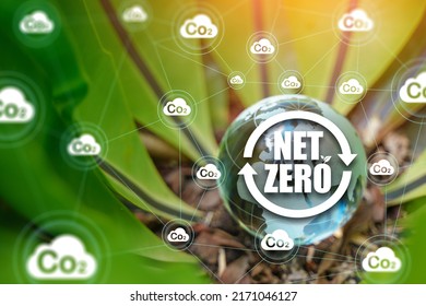 Net Zero And Carbon Neutral Concepts Net Zero Emissions Goals Weather Neutral Long-term Strategy.	