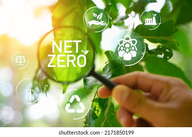 Net Zero And Carbon Neutral Concepts Net Zero Emissions Goals Weather Neutral Long-term Strategy.	