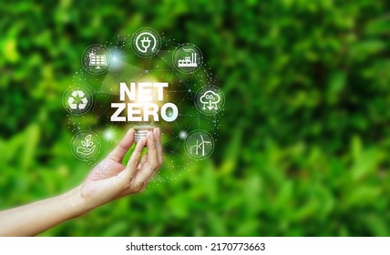 Net Zero Icon And Carbon Neutral Concept In The Hand For Net Zero Greenhouse Gas Emissions Target Climate Neutral Long Term Strategy On The Natural Background.                         