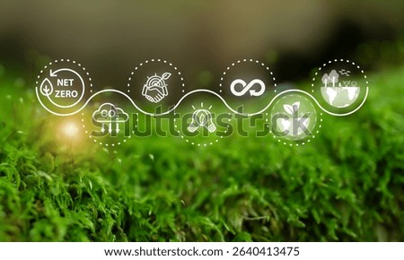 Net Zero Sustainability Path concept. Sustainability journey toward net zero, featuring circular icons for carbon reduction, clean energy, environmental partnerships and circular economy.