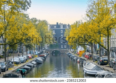 Netherlands. Autumn day on a canal in the center of Amsterdam. Yellow foliage over parked cars and boats