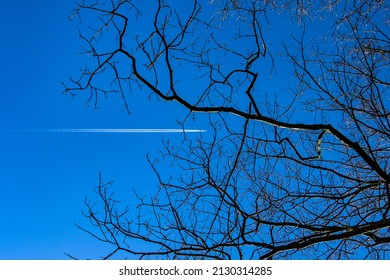 The Netherlands - February 27, 2022: Abstract Composition With Airplane, Bright Blue Sky And Tree Branches.