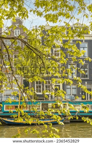 Netherlands. Summer day on a canal in the center of Amsterdam. Green foliage almost hides a parked houseboat and boat