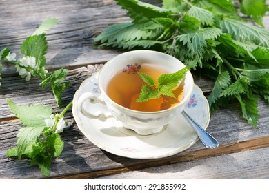 Nettle Tea