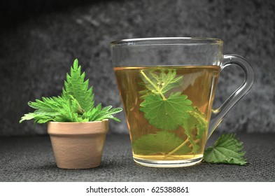 Nettle Tea Herbal Spring