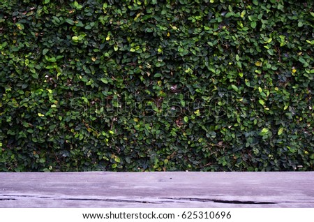 Similar – greenwall Bushes Green