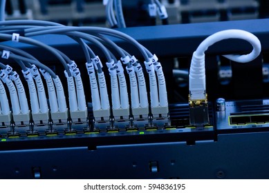 Network cable connected to switch.Information technology connection concept.
