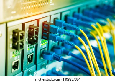 network cable connecting on network core switch close up