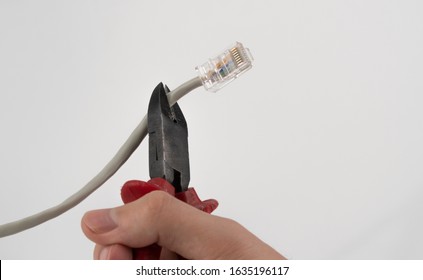 the network cable was cut with pliers.  the concept of celebrating the International Internet-Free Day