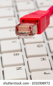 network cable on keyboard
