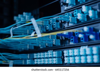 Network cables being switched to the data server