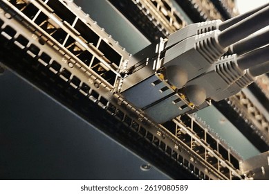 Network cables connected in a datacenter switch