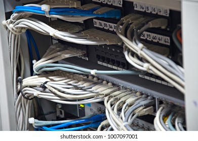 network cables connected to the office router - Shutterstock ID 1007097001
