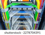network cables connected to switch