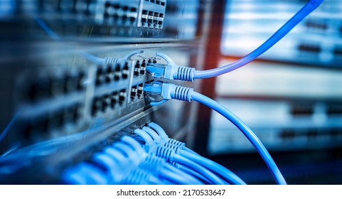 network cables connected to switch