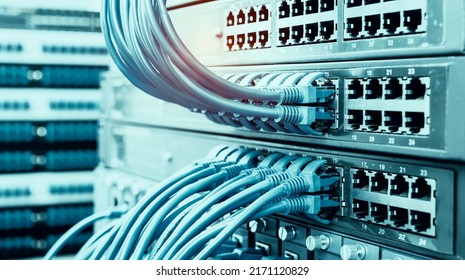 network cables connected to switch