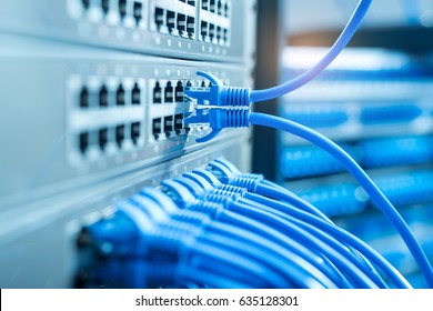 network cables connected to a switch