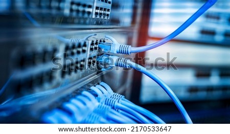 network cables connected to switch