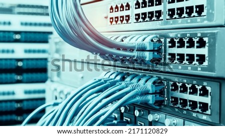 network cables connected to switch