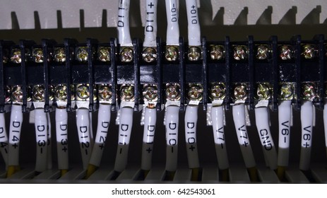 network cables connected to switch - close up of data center hardware