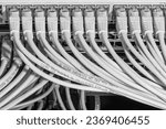 network cables connected to switch - closeup of data center hardware