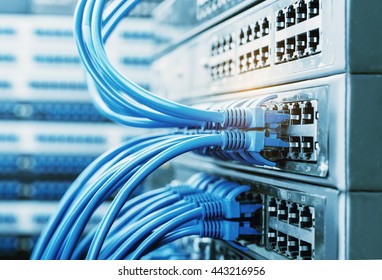 network cables connected in network switches  - Shutterstock ID 443216956
