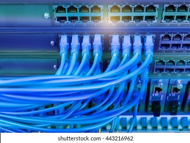 network cables connected in network switches  - Shutterstock ID 443216962