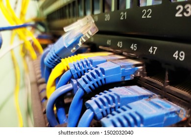 Network Cables Connected Network Switches Network Stock Photo ...