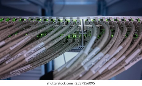 Network cables are organized in a server room displaying green indicators for connectivity - Powered by Shutterstock