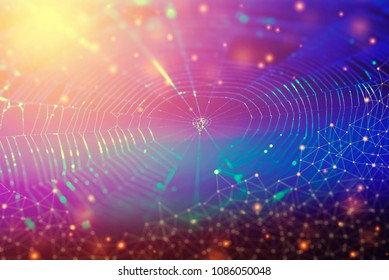 Network connection and technology background concept. Photo of spider web with lines and dots symbol.