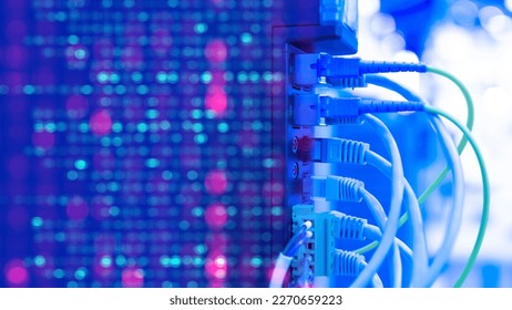 Network equipment. Wires connect equipment. Network hardware. Equipment for system administrator. Structured cabling systems. Network switch close up. Data storage and transmission. Server router
