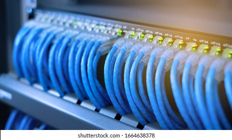 Network gigabit switch and UTP port cat6 ethernet cable close-up in data server room - Powered by Shutterstock