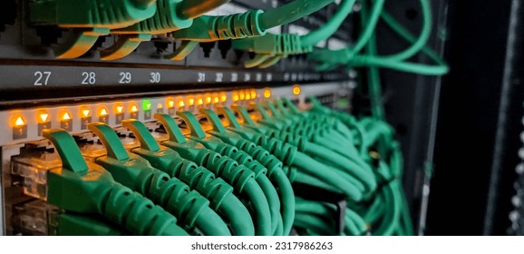 Network hardware. Patch cords connected to the switch port