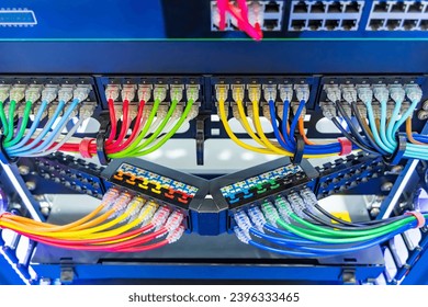 Network panel, switch and colorful cable in data center