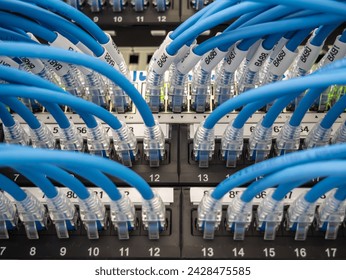 Network server room with cable cables patch panel  - Powered by Shutterstock