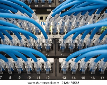Network server room with cable cables patch panel 