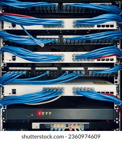 Network servers are powerful computers used as central repository to provide various shared resources like disk space, hardware access, printer access, email service, etc to other computers in network