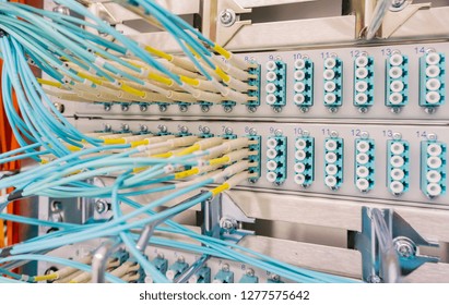 Network switch and network cable in a data center