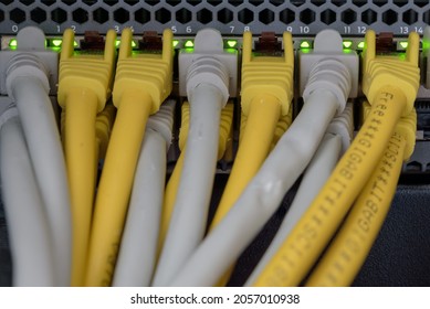 Network switch close up with yellow and gray cables