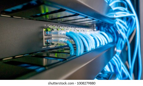 Network Switch Ethernet Cables Connected Stock Photo (Edit Now) 1008279880