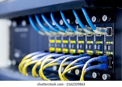 Network switch and ethernet cables,Data Center Concept.